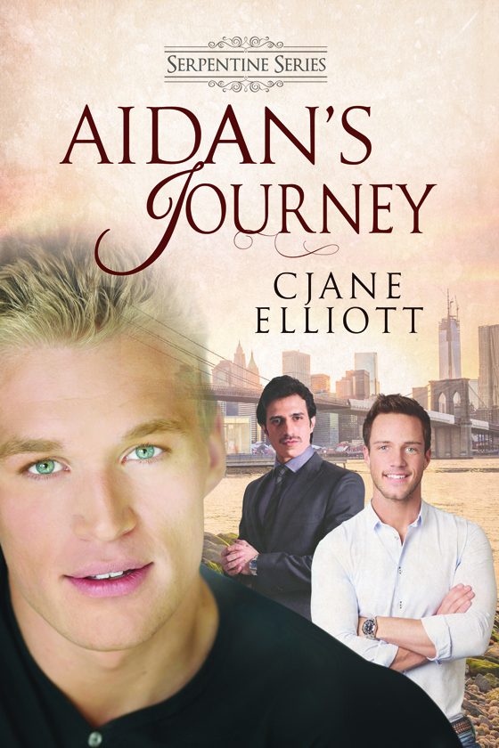 Aidan's Journey - Click Image to Close