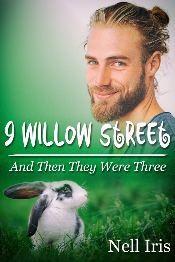 9 Willow Street: And Then They Were Three