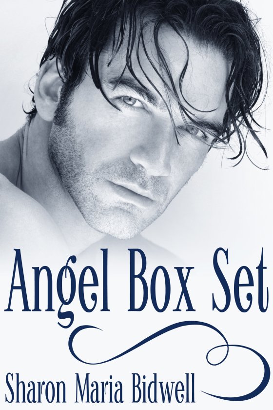 Angel Box Set - Click Image to Close