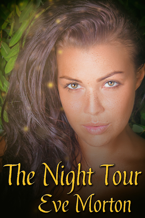 The Night Tour - Click Image to Close